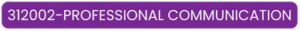 312002-PROFESSIONAL COMMUNICATION